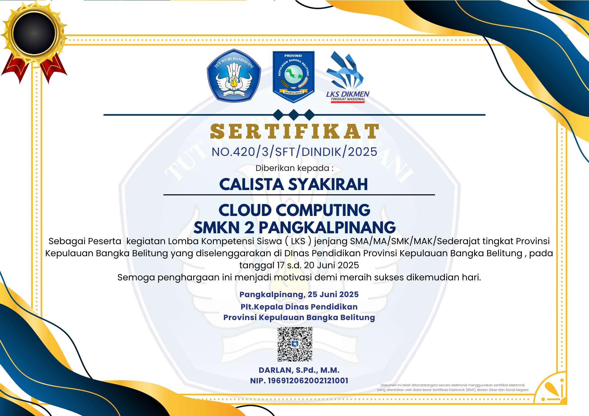 Participant Certificate